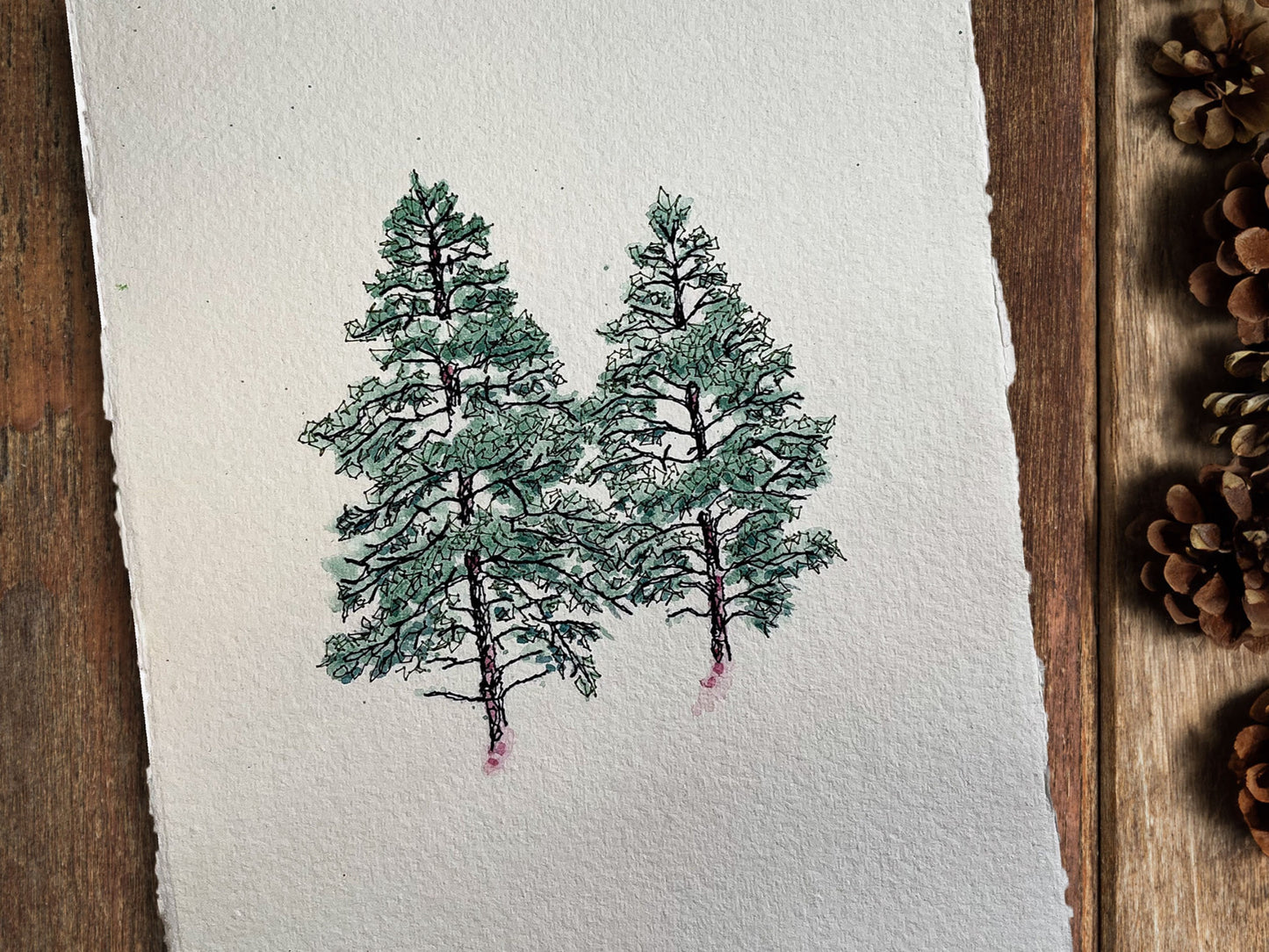 Caledonian Pines Original Artwork