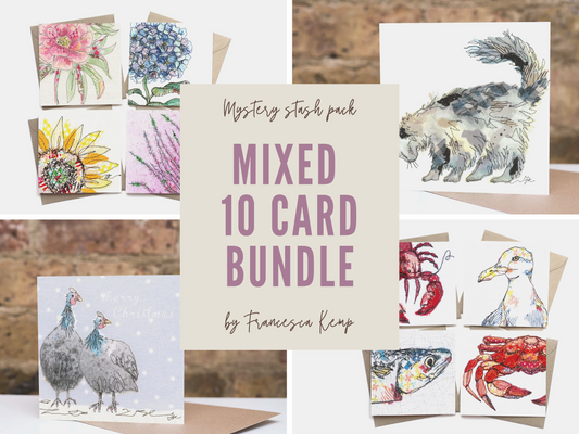 Mixed 10 Large Card Bundle - fill up your card stash!