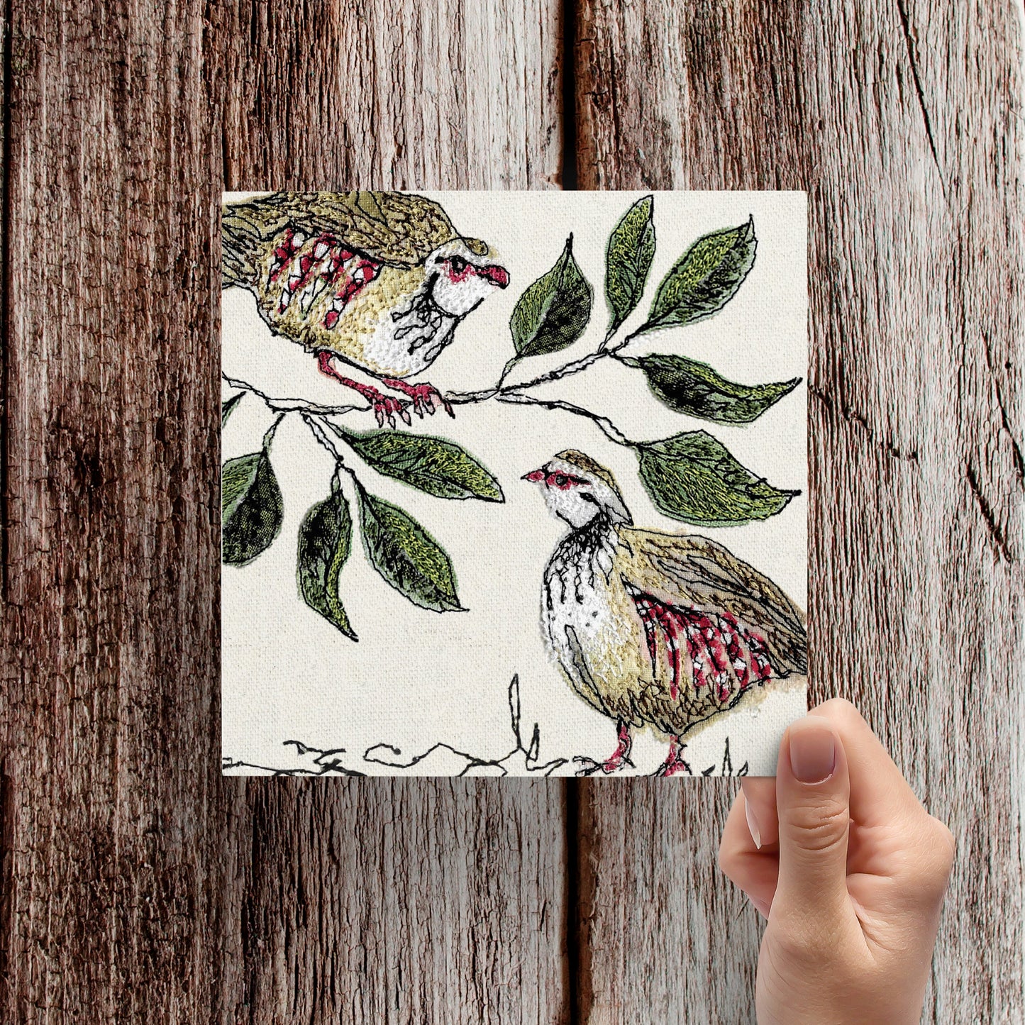 Red Legged Partridge Art Card